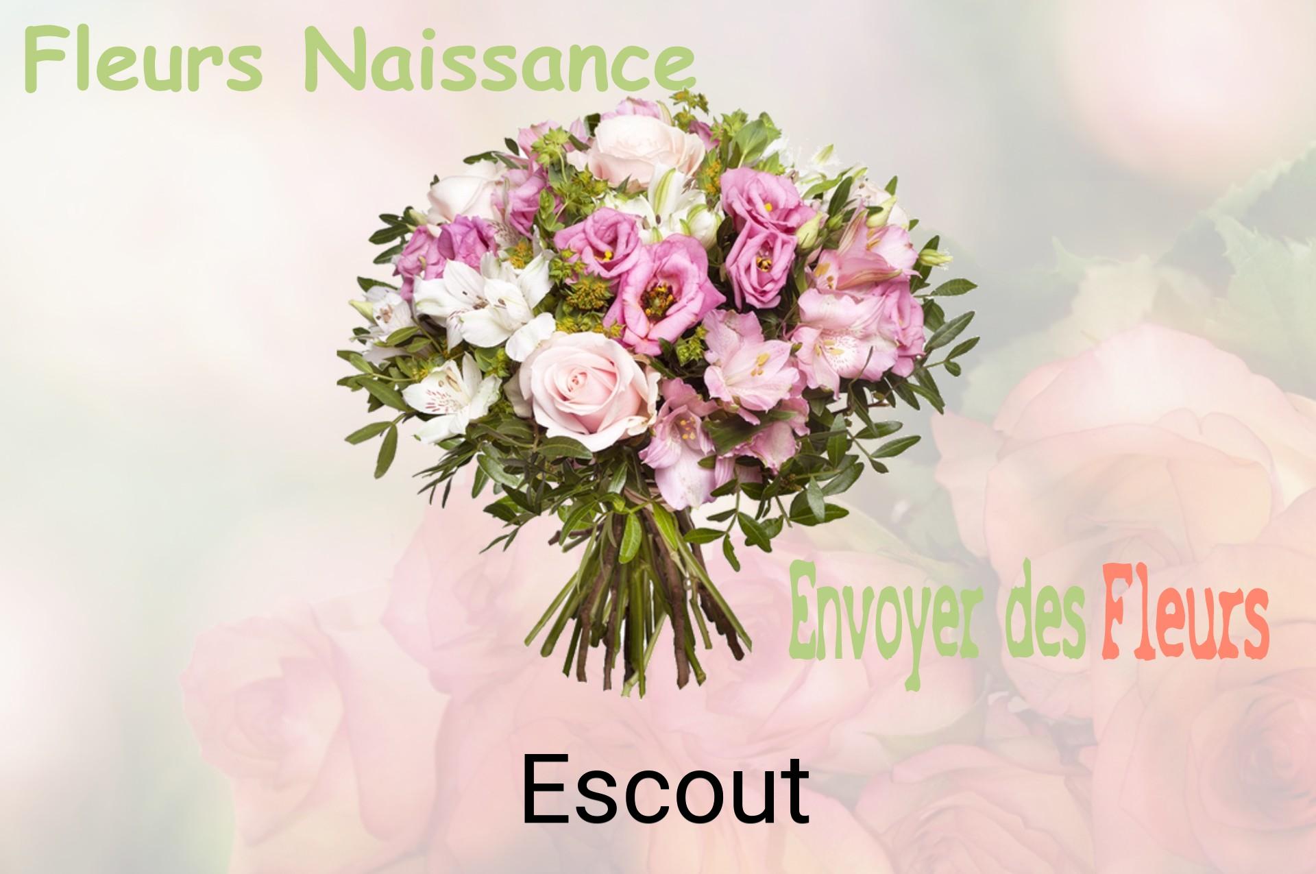 Bouquet de fleurs de naissance livré à Escout