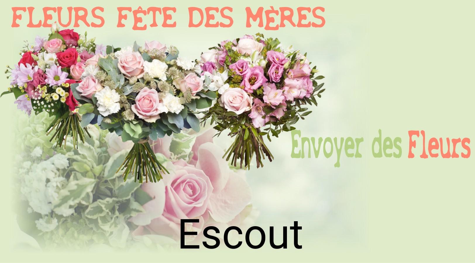Bouquet de Fête des Mères livré à Escout